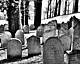 Bild: Pixabay/Mrtvolka666